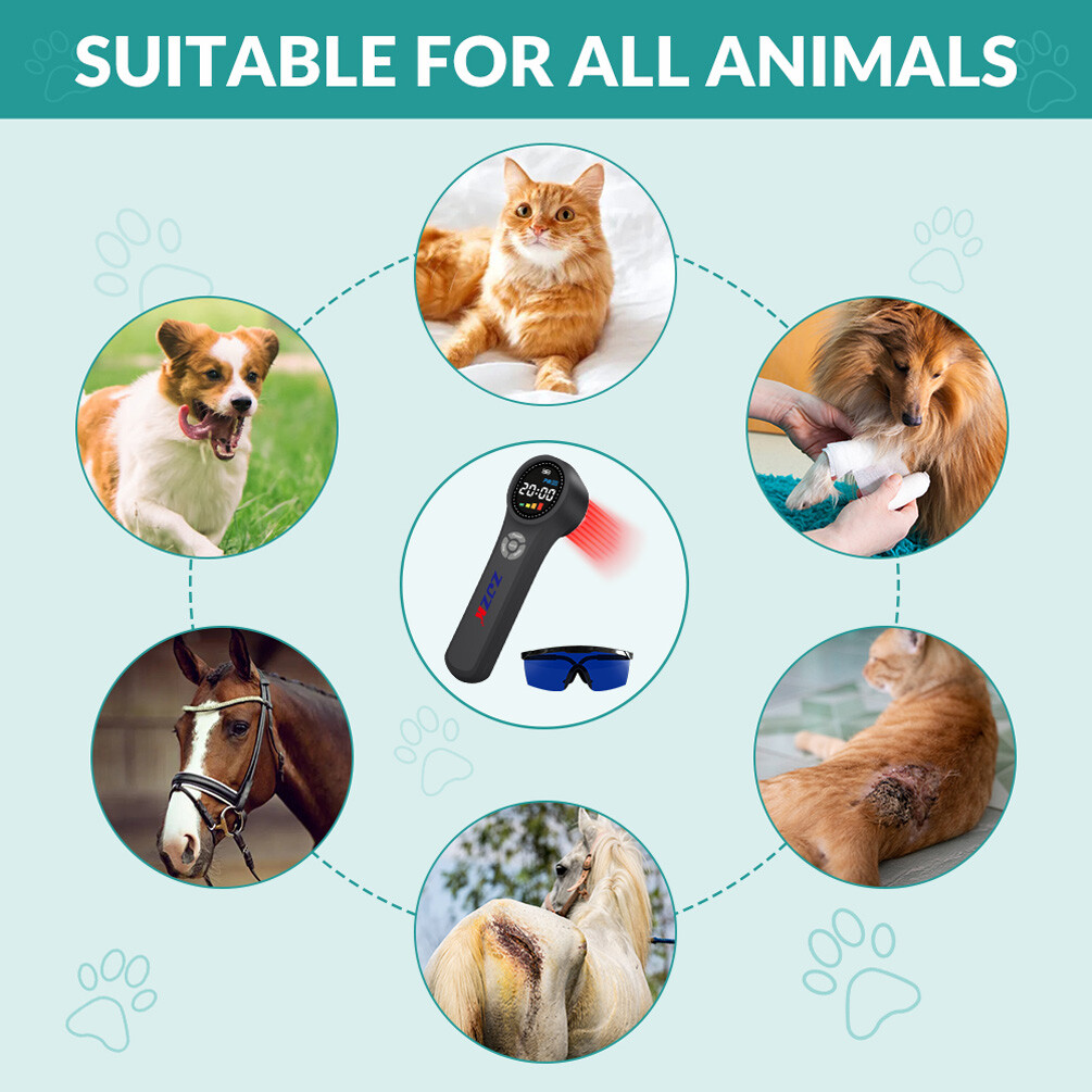 Medical Grade Cold Laser Therapy LLLT Device 24Diodes NIR Light For Pain Relief