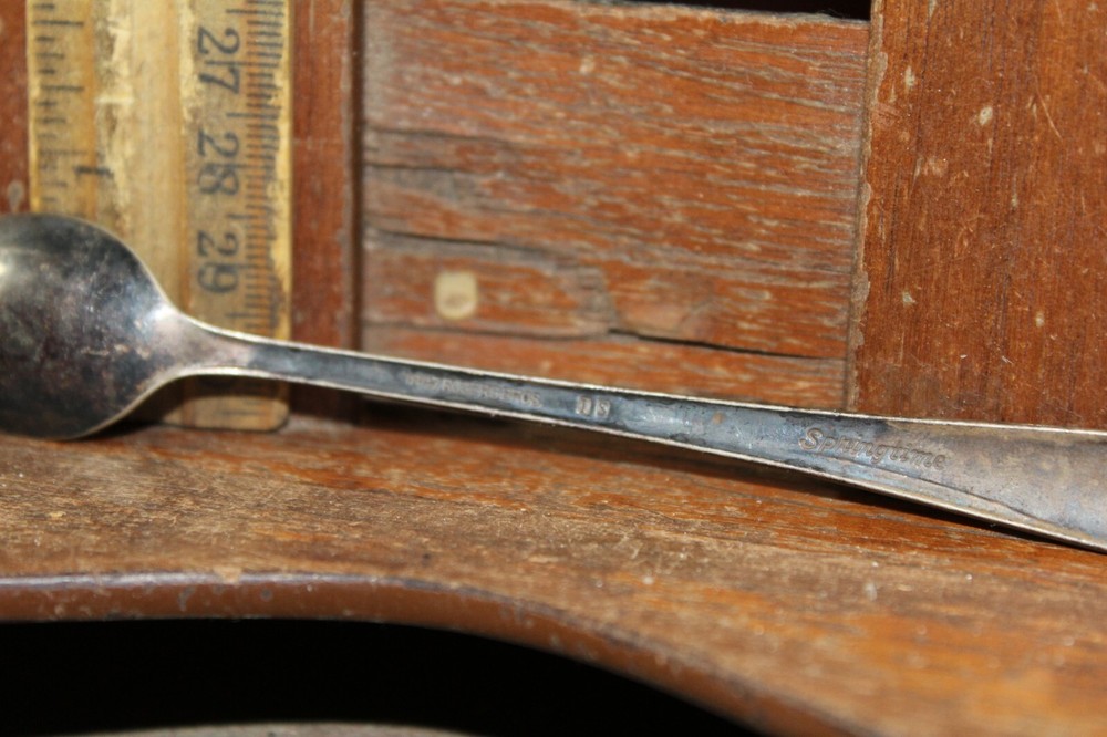 Vintage Tea Spoon Rogers Silver Plate Springtime Pattern