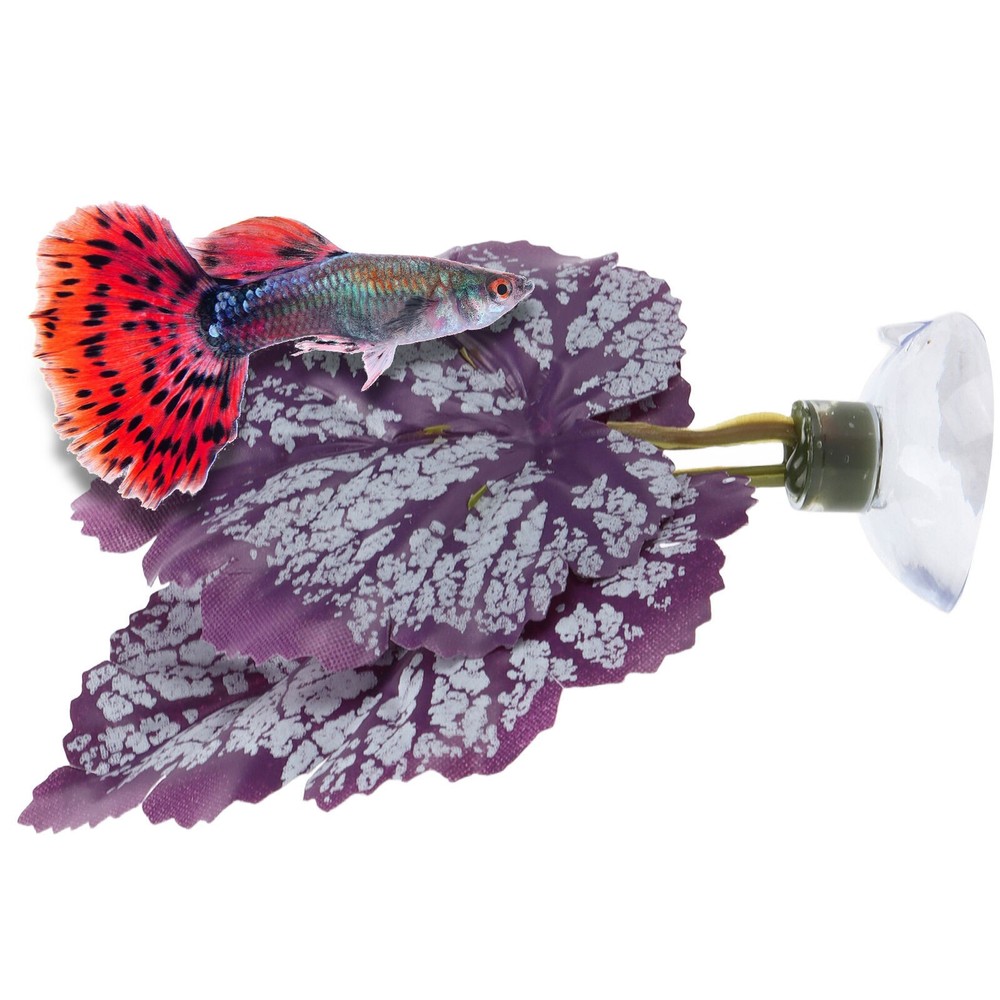 Betta Fish Leaf Pad Plastic Leaf Betta Hammocks with Suction Cup