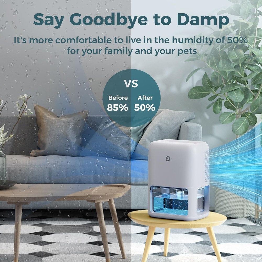 Dehumidifier for Home Small Space Moisture Control Quiet Timer Portable