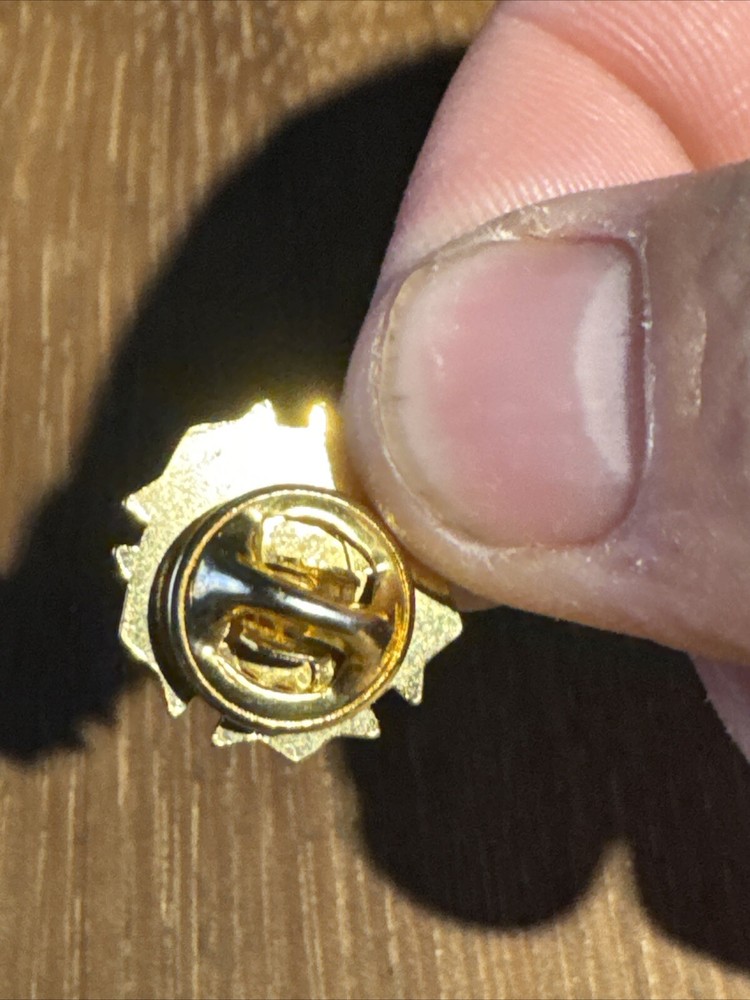 AMA 17 Year Member Pin
