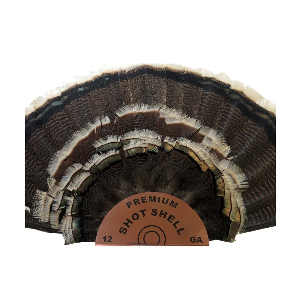Premium Shot Shell Turkey Fan Mount (1) Large Sized Trophy Fan Display plaque...