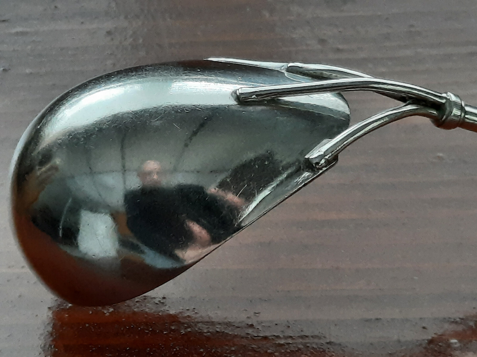 Coin Silver Knowles & Ladd Three Pronged Leaf & Berry Patrn Engraved Sauce Ladle