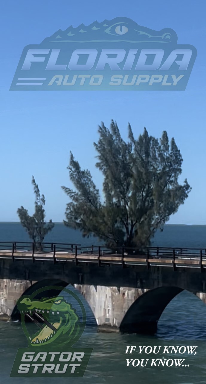 Two Trunk Lift Supports FAS-678 For Lexus Sedans: 2006-2015 IS250, IS350, IS F