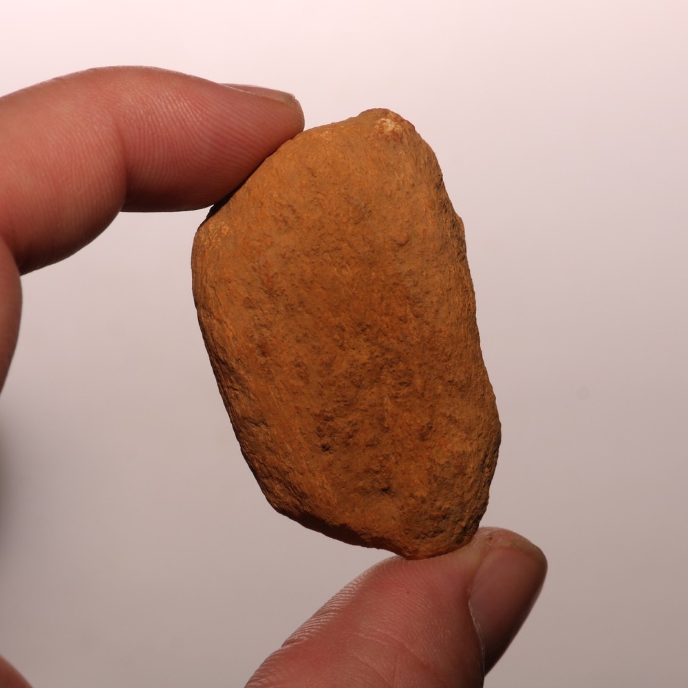 Dinosaur Scute Node - Hell Creek Formation - Nice - CRETACEOUS