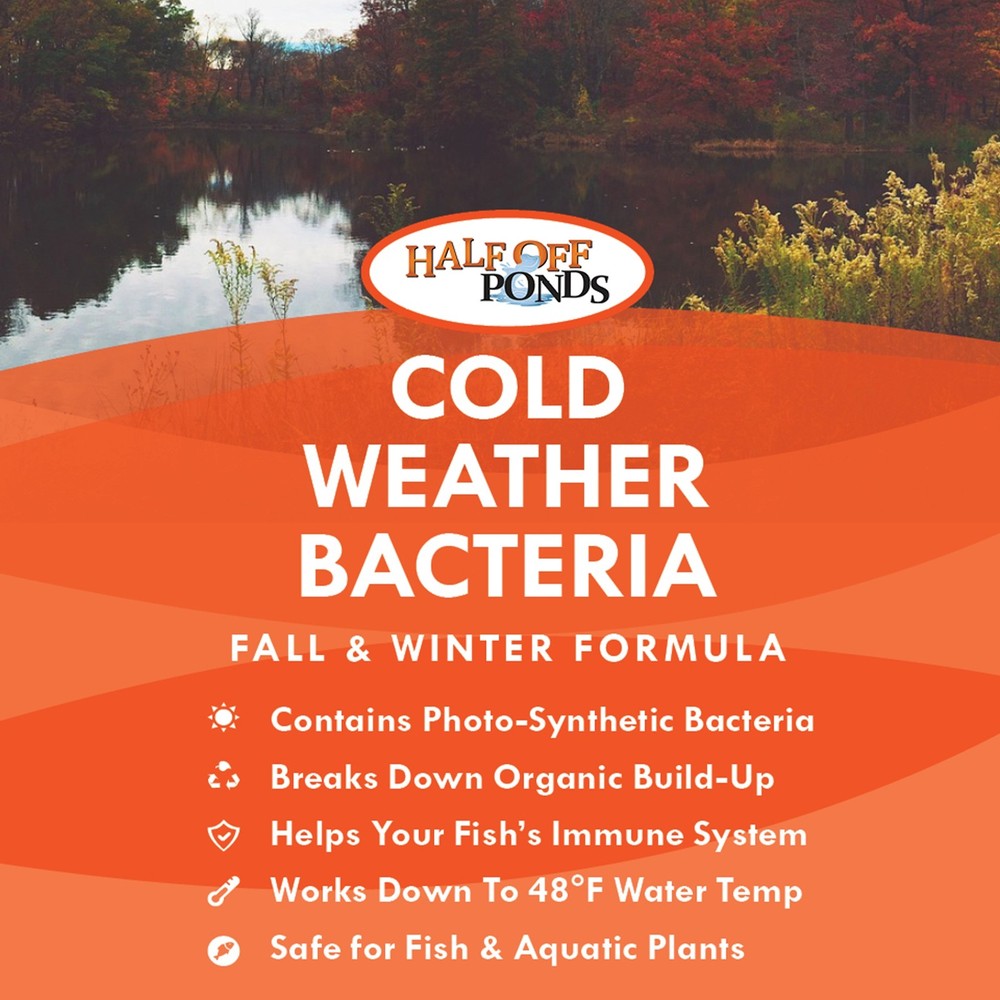 Medium Winterization Bundle Pond Net, Deicer, Fish Food, Bacteria - FWKITMED