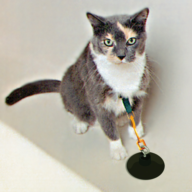 STAY & WASH CAT