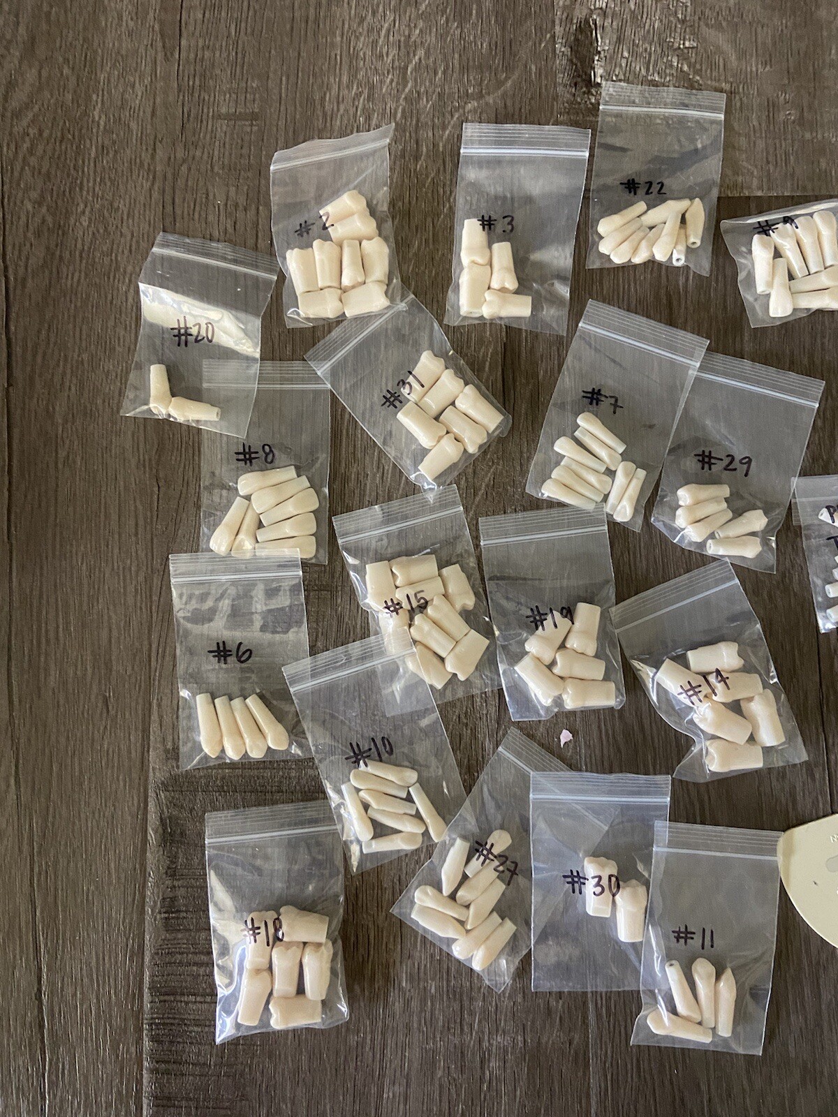 Kilgore Nissin Typodont Teeth Lot