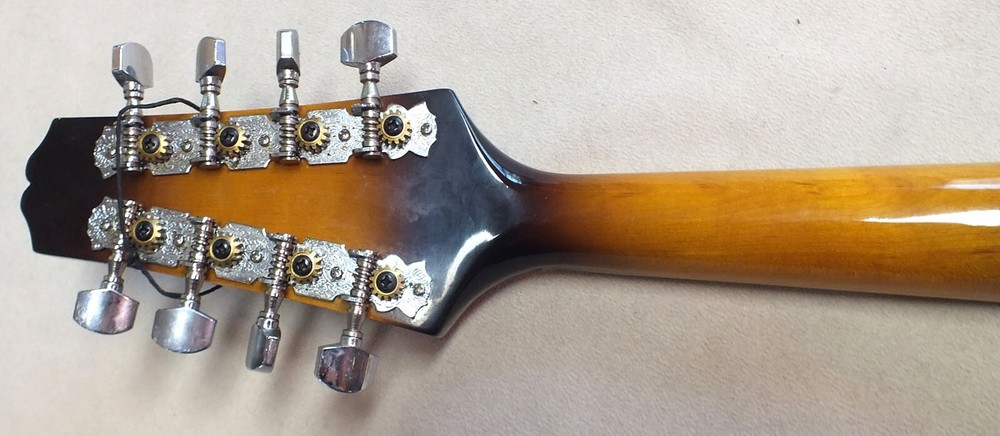 Nice Johnson Oval Hole Mandolin Model MA-100