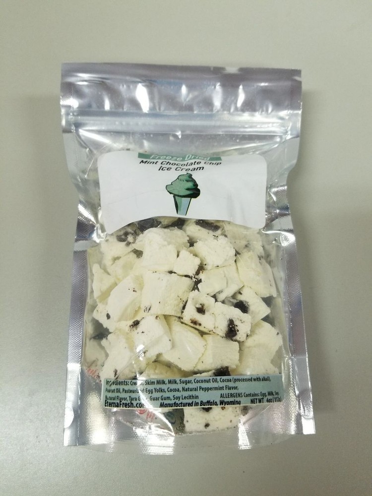 Freeze dried Mint Chocolate Chip Ice cream