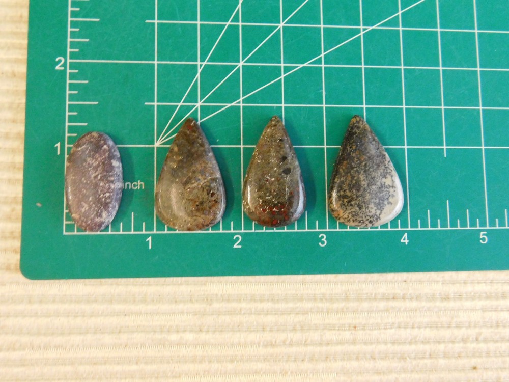 Dinosaur Bone Cabochons - 4 pcs