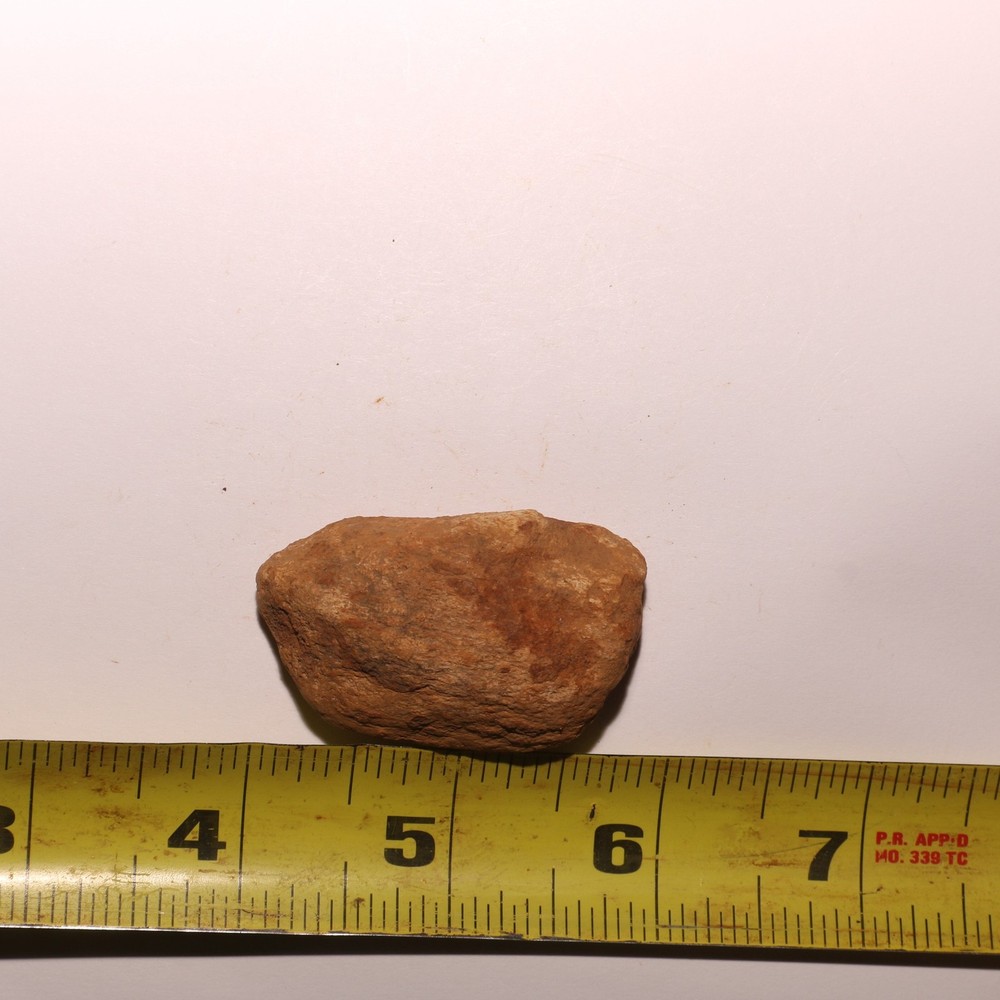 Dinosaur Scute Node - Hell Creek Formation - Nice - CRETACEOUS
