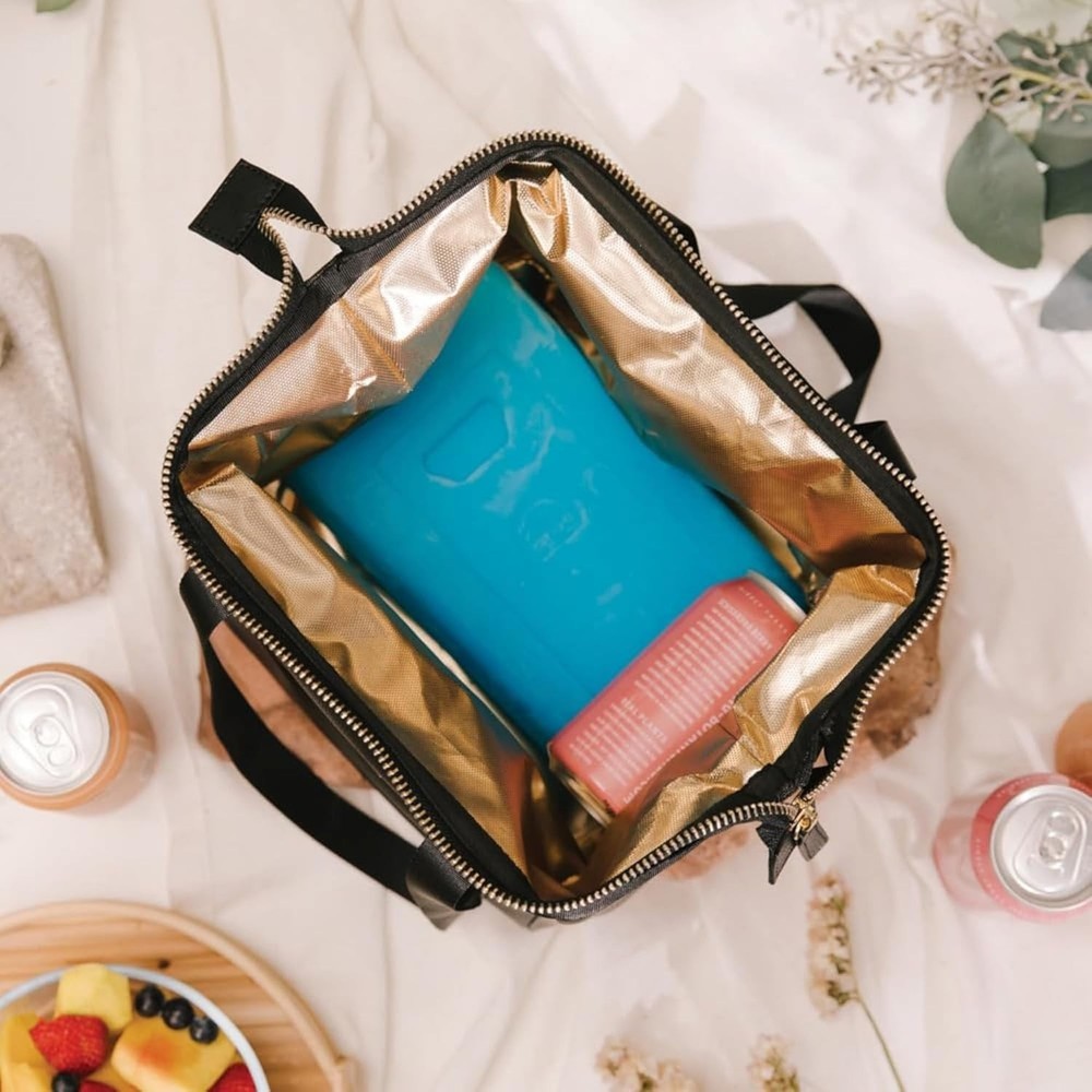 Long-Lasting Reusable Ice Pack 2-Count for All Coolers - Mess-Free Solution