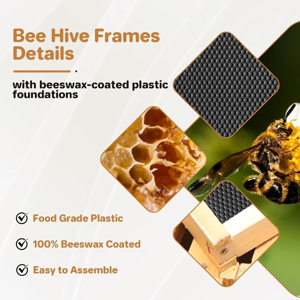 10-Frame Langstroth Deep Beehive Box with Wax-Coated Frames & Foundation Sheets