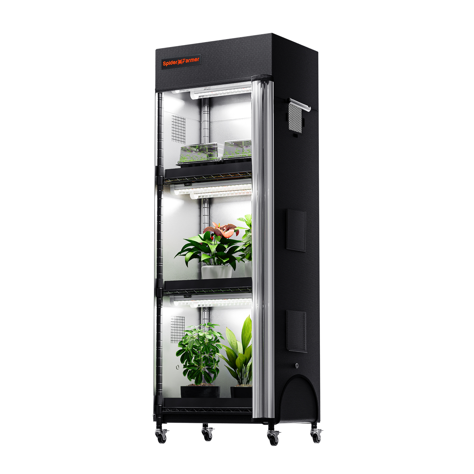 Spider Farmer plant stand with grow lights and tent for indoor plants