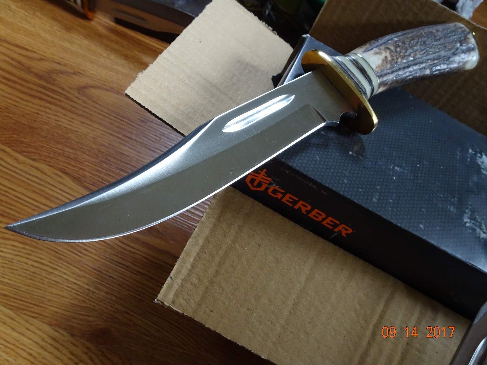 STEEL STAG 10 1/2' FIXED BLADE KNIFE ELK ANTLER HANDLE 440S.S. BLADE LEATHER SHE