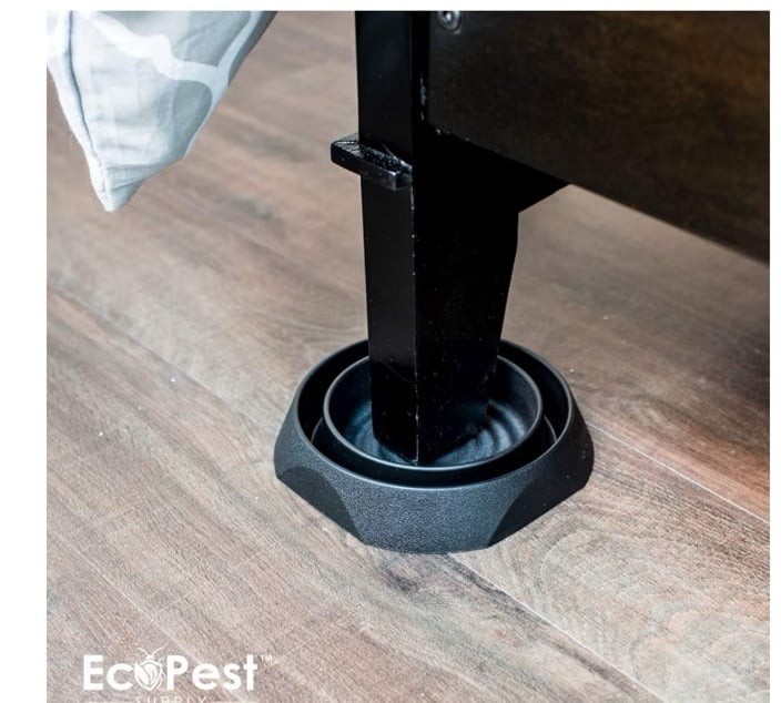 BED BUGRissabieBLOCKER new