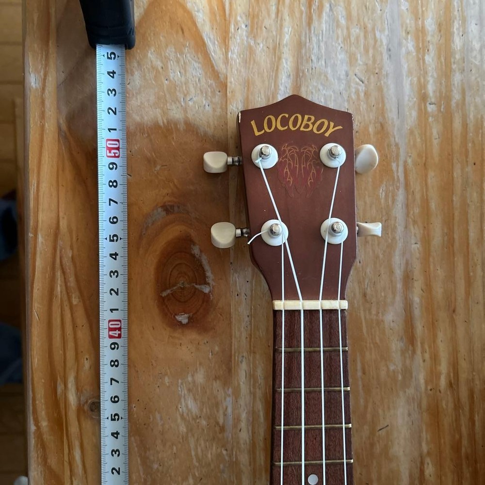 Price reduction! Ukulele with new case