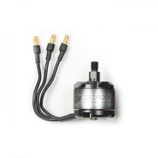 DJI E300 Original Motor 2212 920KV (CCW)