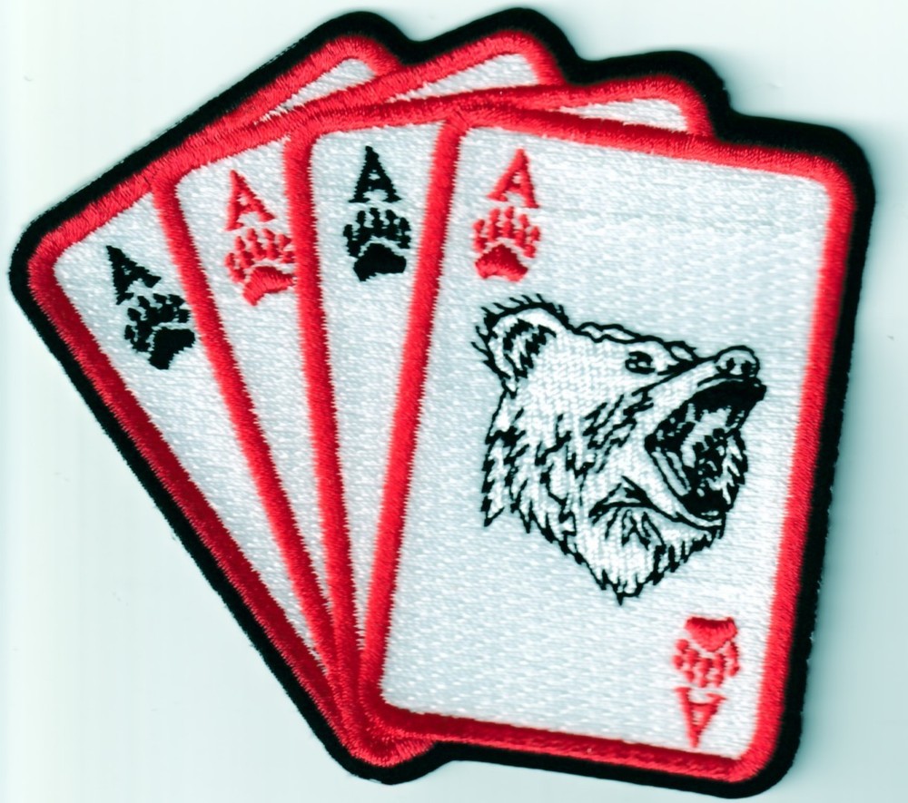 USN Navy Airborne Command & Control Squadron 124 VAW-124 'Bear Aces' patch -2