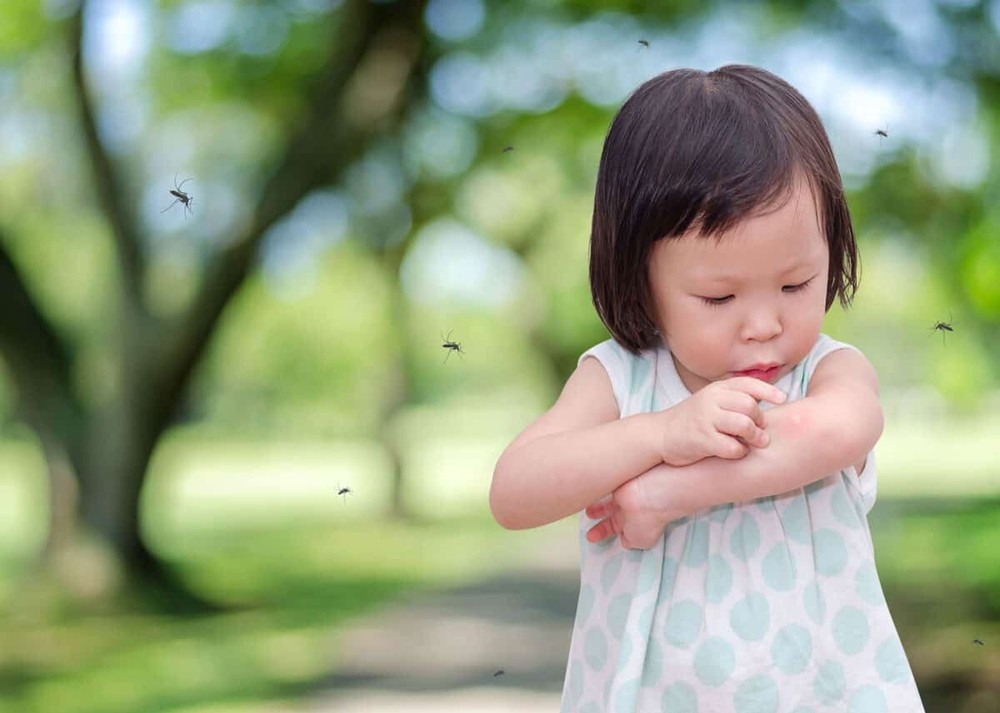 Mosquito Repellent Bug Spray