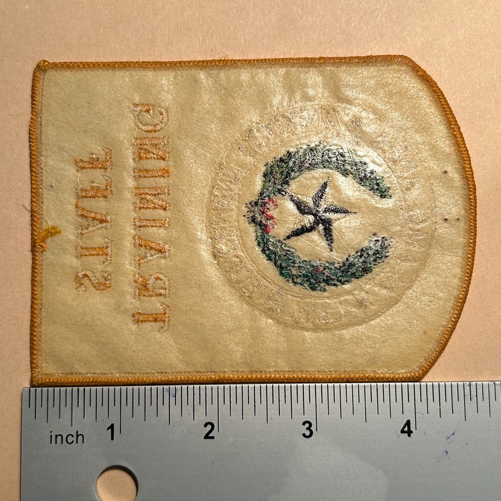 Alamo Area Law Enforcement Academy Training Staff patch
