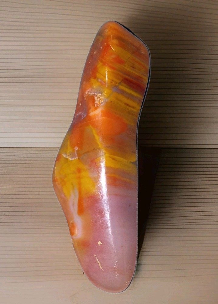 Rainbow Petrified Wood Polished