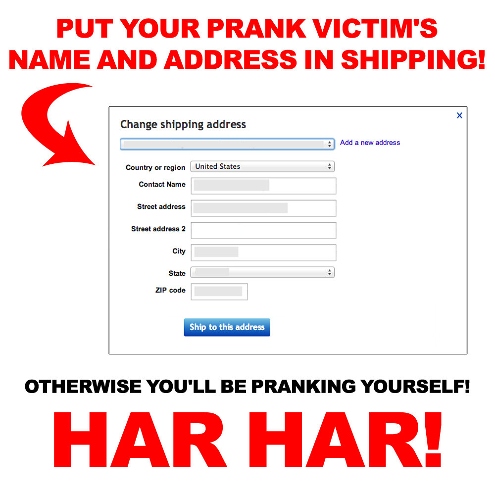 LOL Gay Cruise Prank Mail Gag Practical Joke Sent Directly to Friends