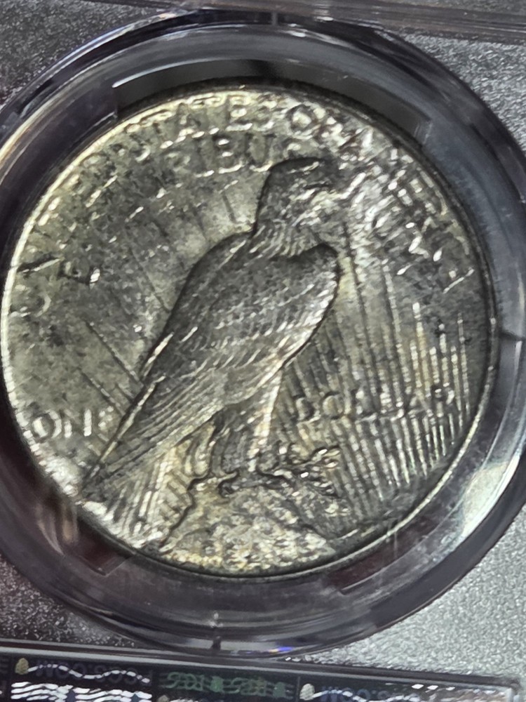 1925 $1 PeaceDollar PCGS MS64 Toned