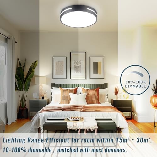 LED Ceiling Light Flush Mount 24W Kitchen Light Fixture Ceiling 12INCH Black