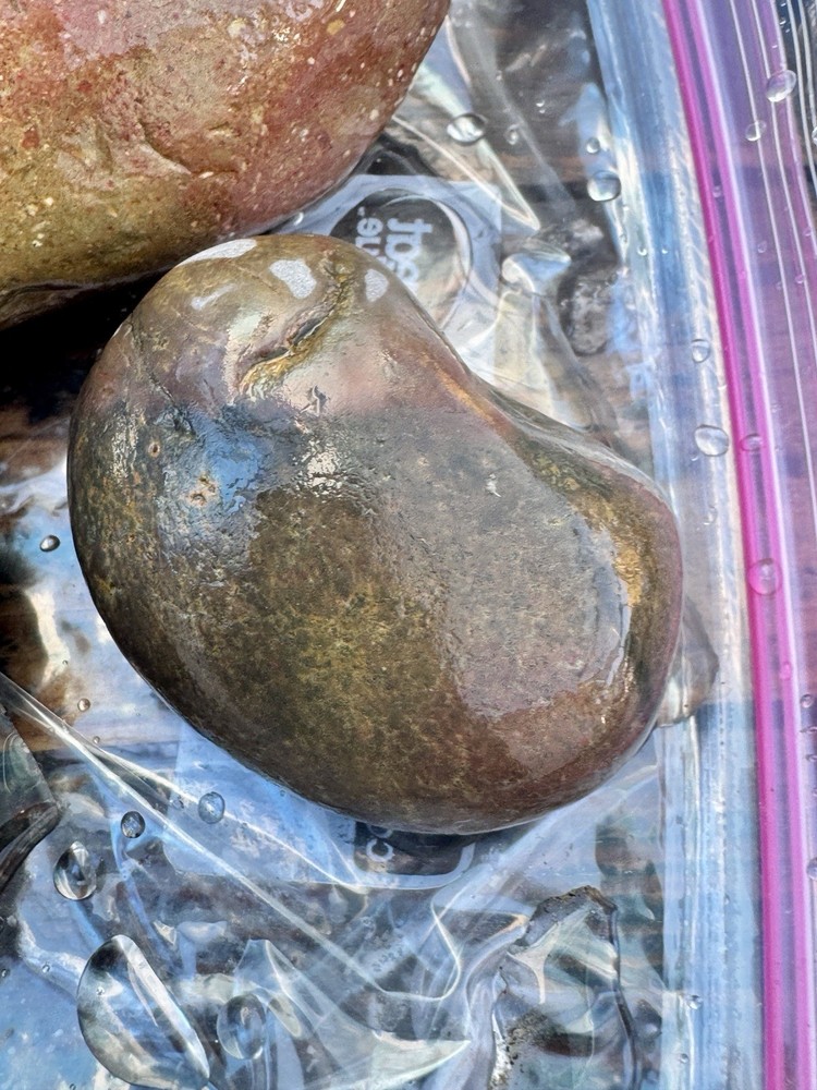 jasper rough lbs Polychrome 7 Lbs