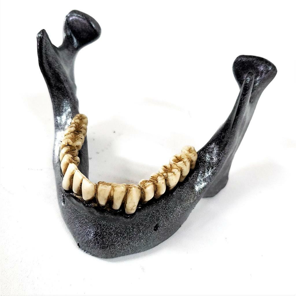 HALLOWEEN HORROR PROP - Realistic resin Human Jaw Business card and pen holder
