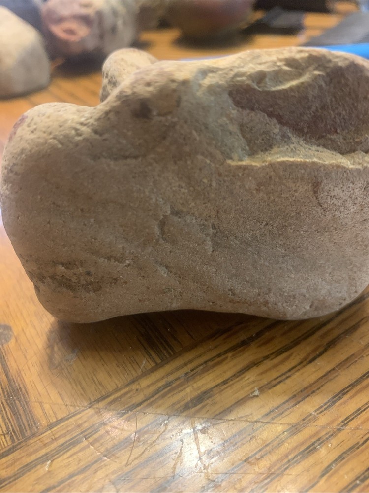 Fossils