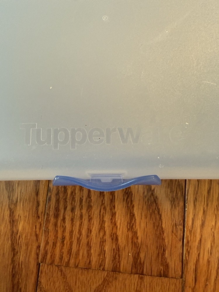 Tupperware Blue Hinged Sandwich Keeper Lunch Container