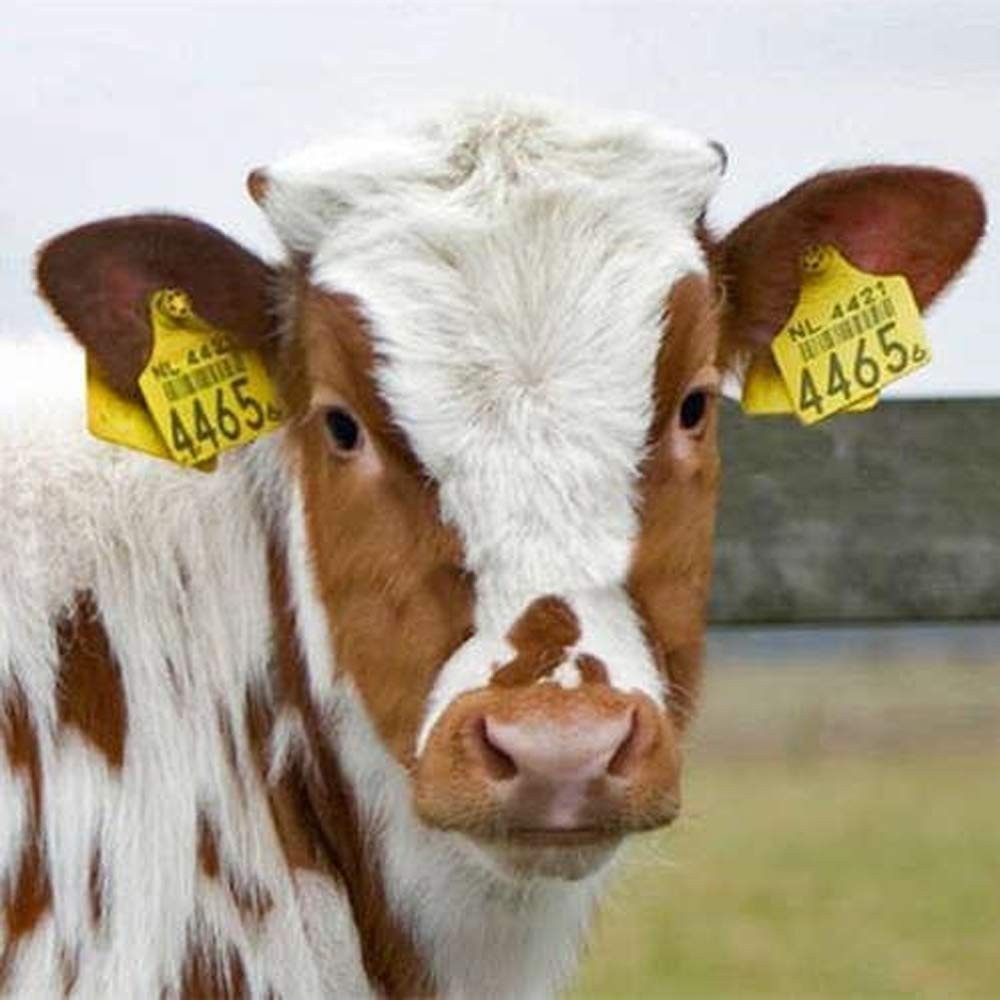 Durable Cattle Ear Tags 001-100 - Efficient Livestock Identification Solution