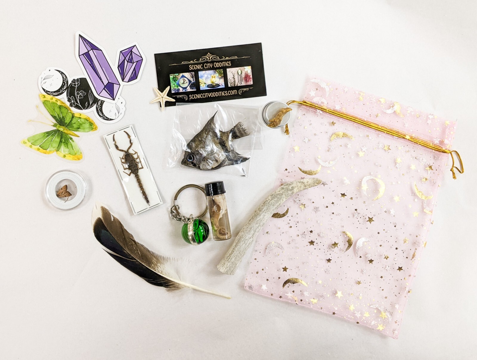 MYSTERY Lot BOX Small Curiosity or Oddity box 4 / 6 item gift surprise package