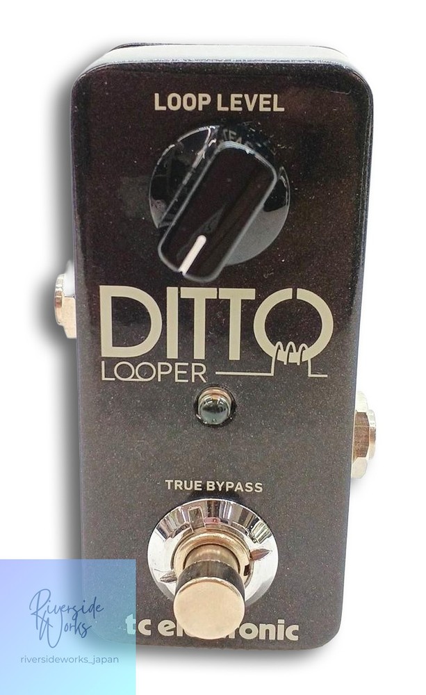 TC ELECTRONIC DITTO LOOPER Loop Station Pedal Used