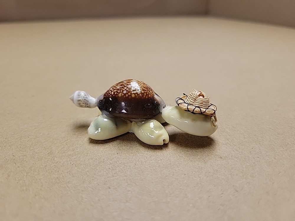 Handmade Seashell Turtle Tortoise Shell with Wire Glasses Hat