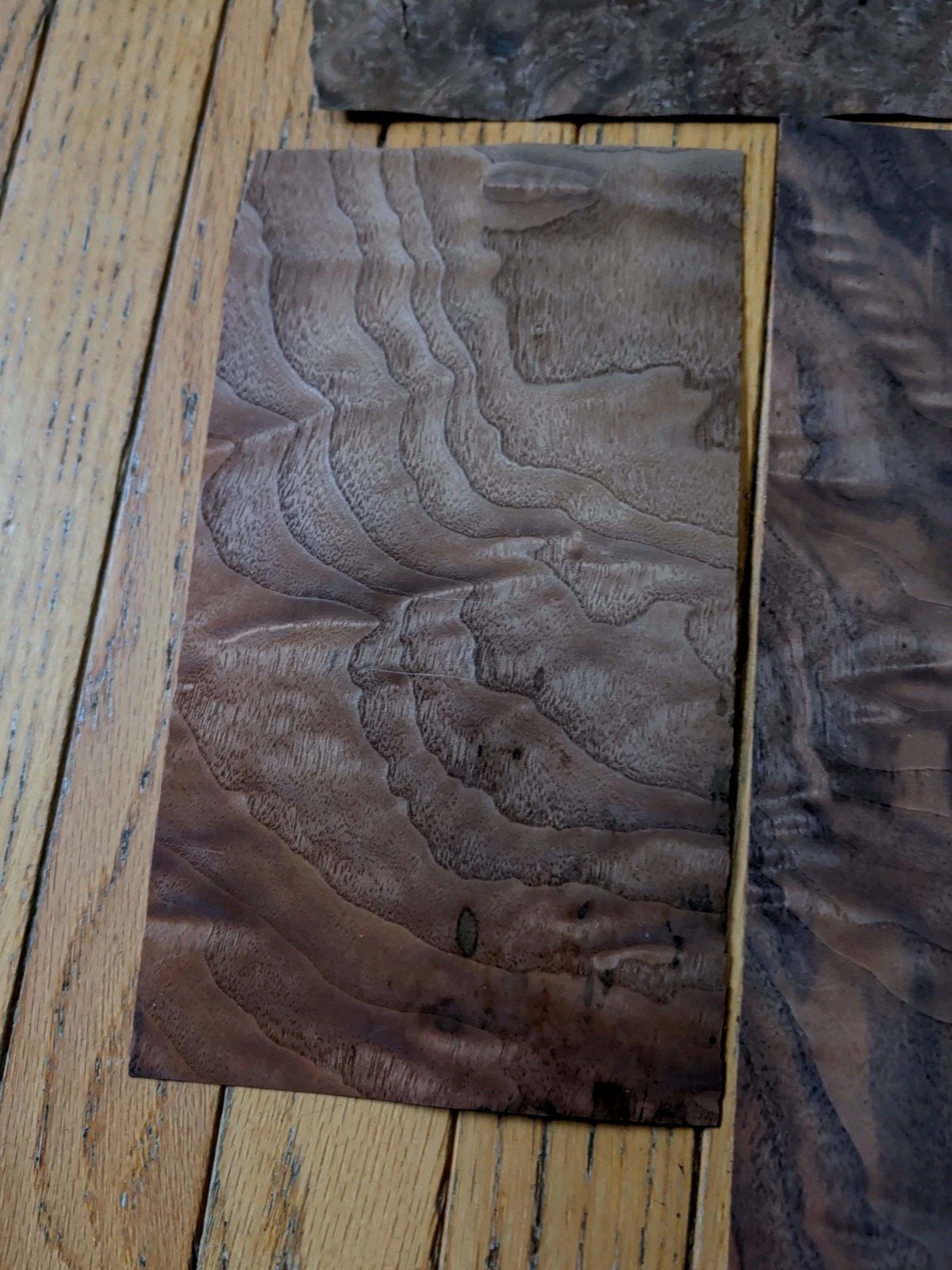 Walnut burl veneer 9 1/2" x 8 1/4" wood 1/42 raw +3 more pieces cracks buckled