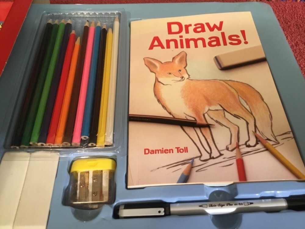 Draw Animals Book & Kit