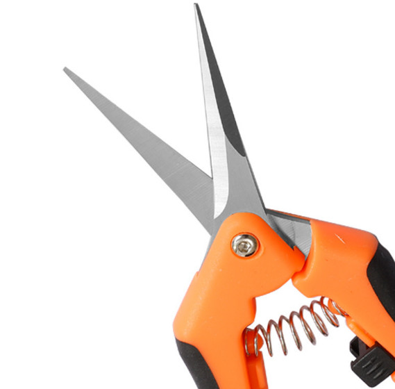 Fruit picking scissors garden pruning specialized scissors vegetable