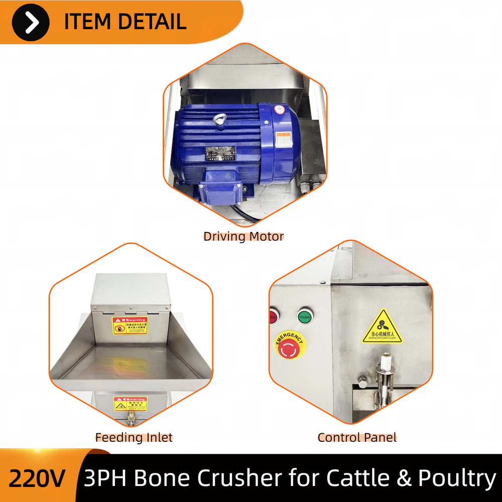 Commercial Bone Crusher 220V 3-Phase for Beef Sheep & Poultry Bone Processing