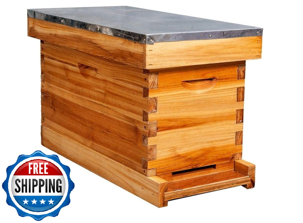 5-Frame Nuc Beehive for Bees Complete Bee Hive Box Kit for Langstroth Beekeeping