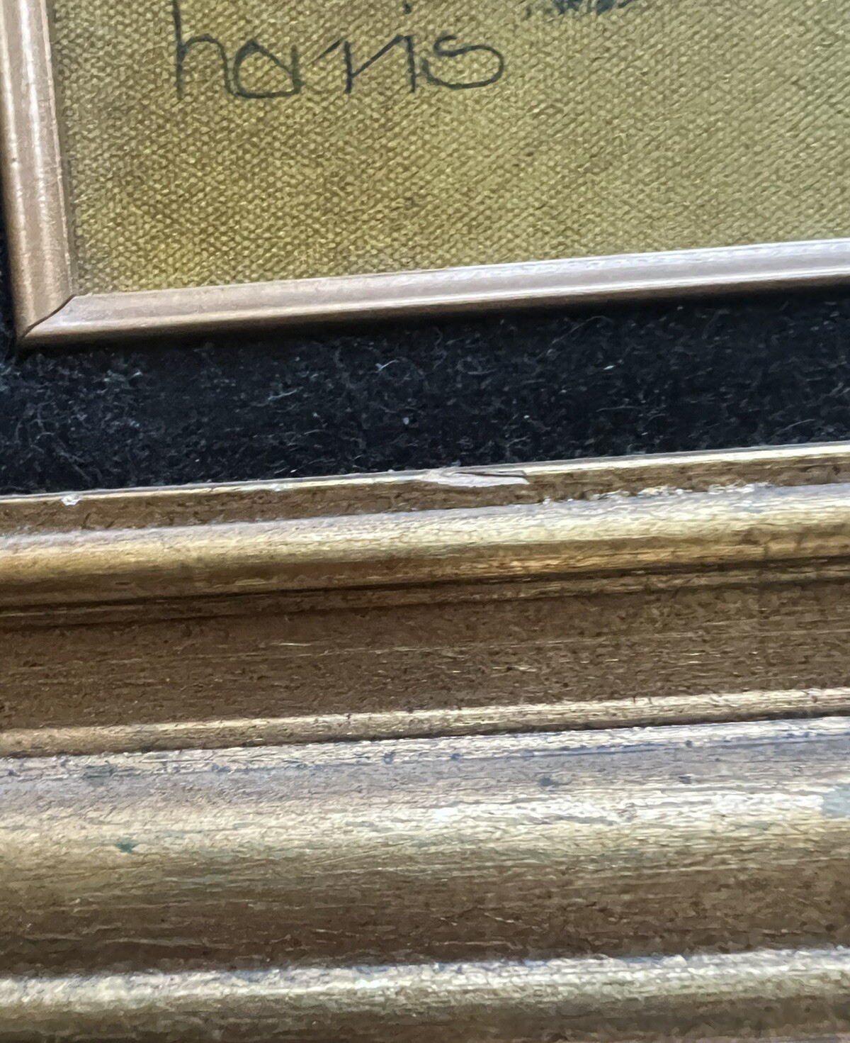 Vintage Painting Butterfly The Beginning Spring Bird Nest Eggs Cottage Cabin