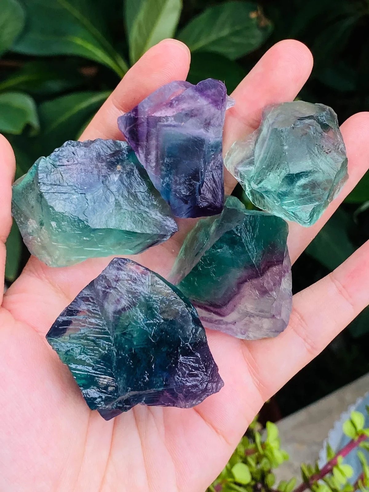 3PCS Raw Rainbow Fluorite Stone Natural Rough Pocket Crystals Mineral Specimens