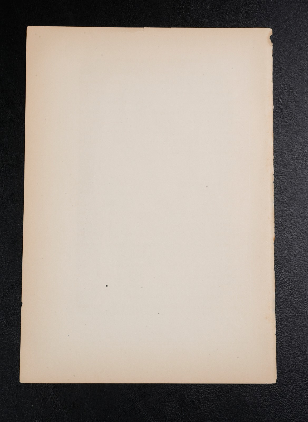 Lot of 4 Vintage Wanamaker Native American Photogravures: Custer Scouts, Crow