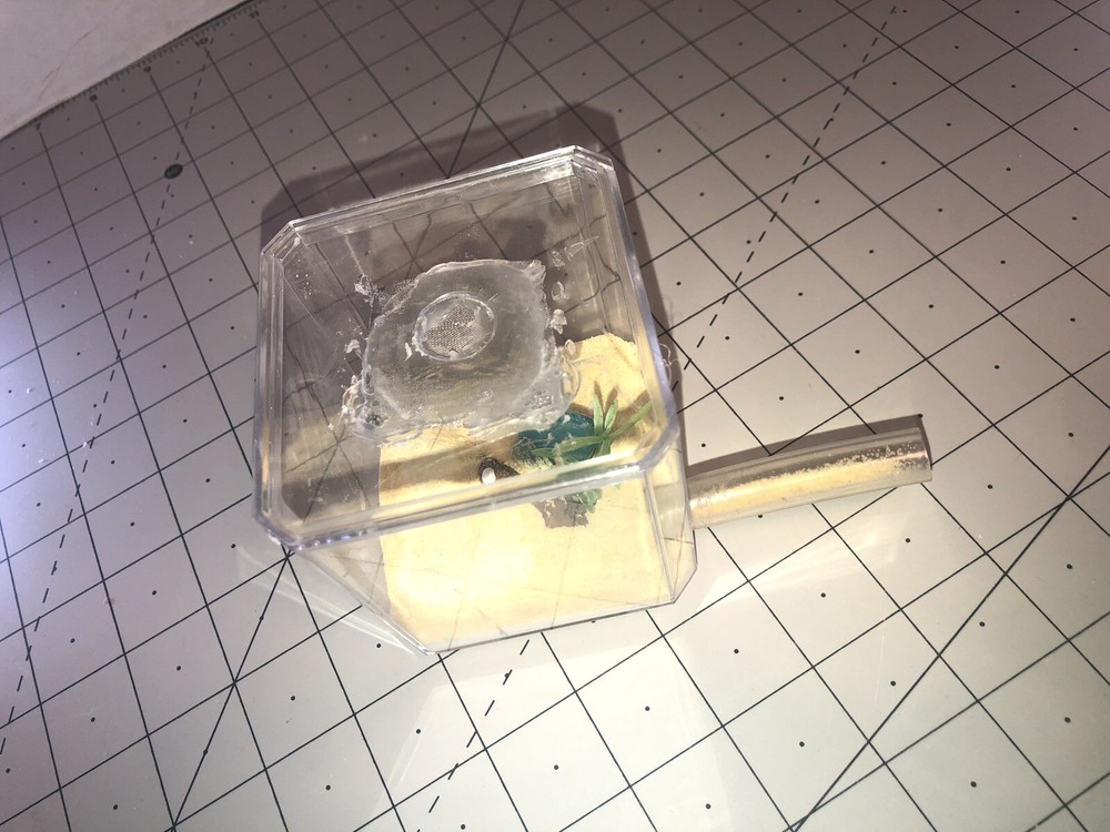 Ant queen Farm Medium Glow Rock Beach Out World