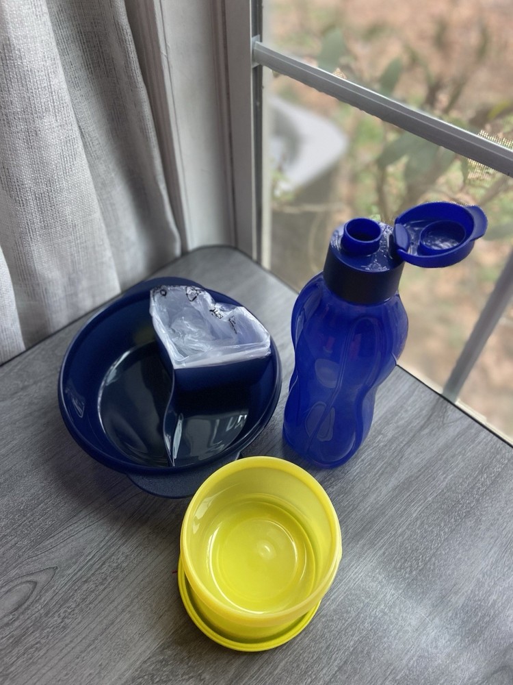 Tupperware Lunch Set 25 oz Bottle Crystal Wave Divided , Sm Container 400ml