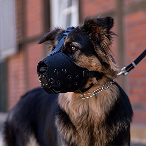 Large Dog Basket Muzzle - No Biting, Barking, or Chewing - Adjustable Straps, Bl