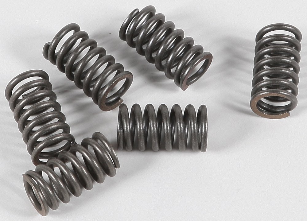 EBC CSK Clutch Spring Set (CSK31)